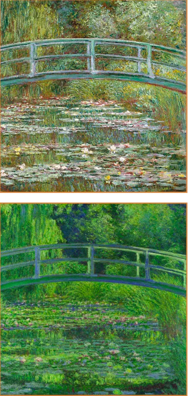 Comparação da visão de Monet antes e depois da catarata — Drudi e Almeida